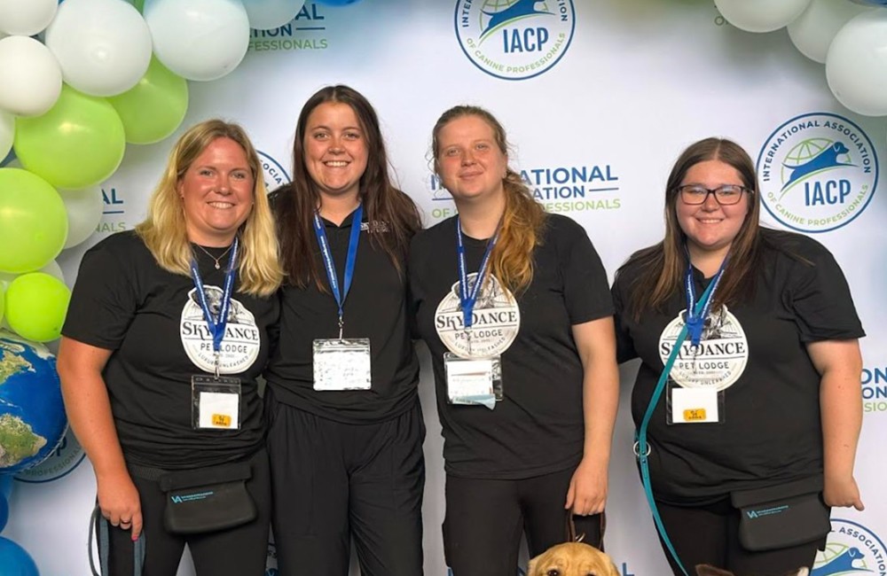 Passionate SkyDance leadership team providing individualized pet care