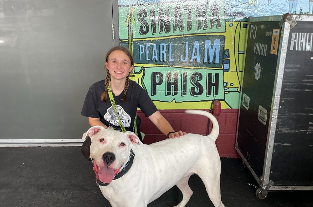 SkyDance at local events