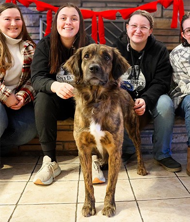Our team with a rescue dog