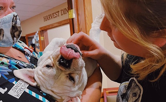 Our dedicated staff and rescue dog