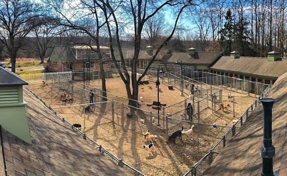 Playground at SkyDance