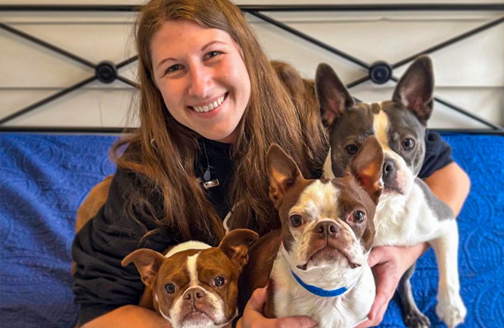 Staff member playing with three happy dogs