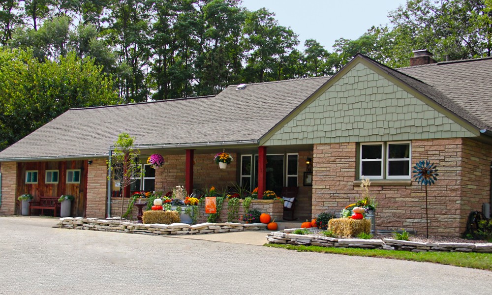 SkyDance Dousman location for boarding, daycare, grooming or training