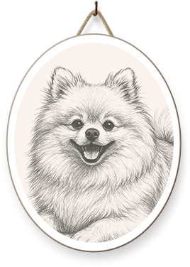 Pet boarding for dogs and small pets SkyDance Pet Lodge