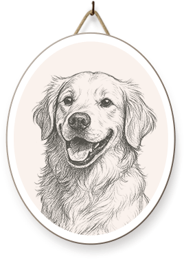 Professional dog daycare at SkyDance Pet Lodge